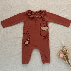 Disney Rust One Piece with Winnie the Pooh 12M